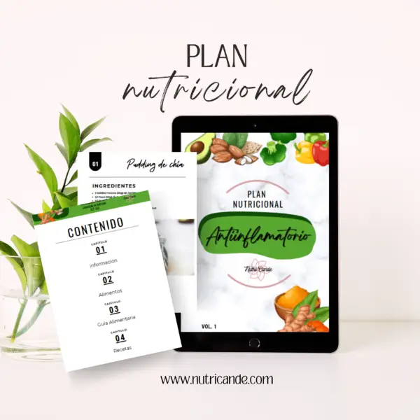 Plan Alimentario e informativo Antiinflamatorio